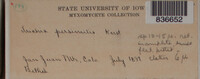 Image Associated With the Occurence